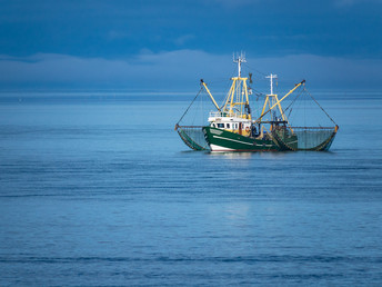 Kurz mal Meer inkl. Abendessen & Wellness in Büsum