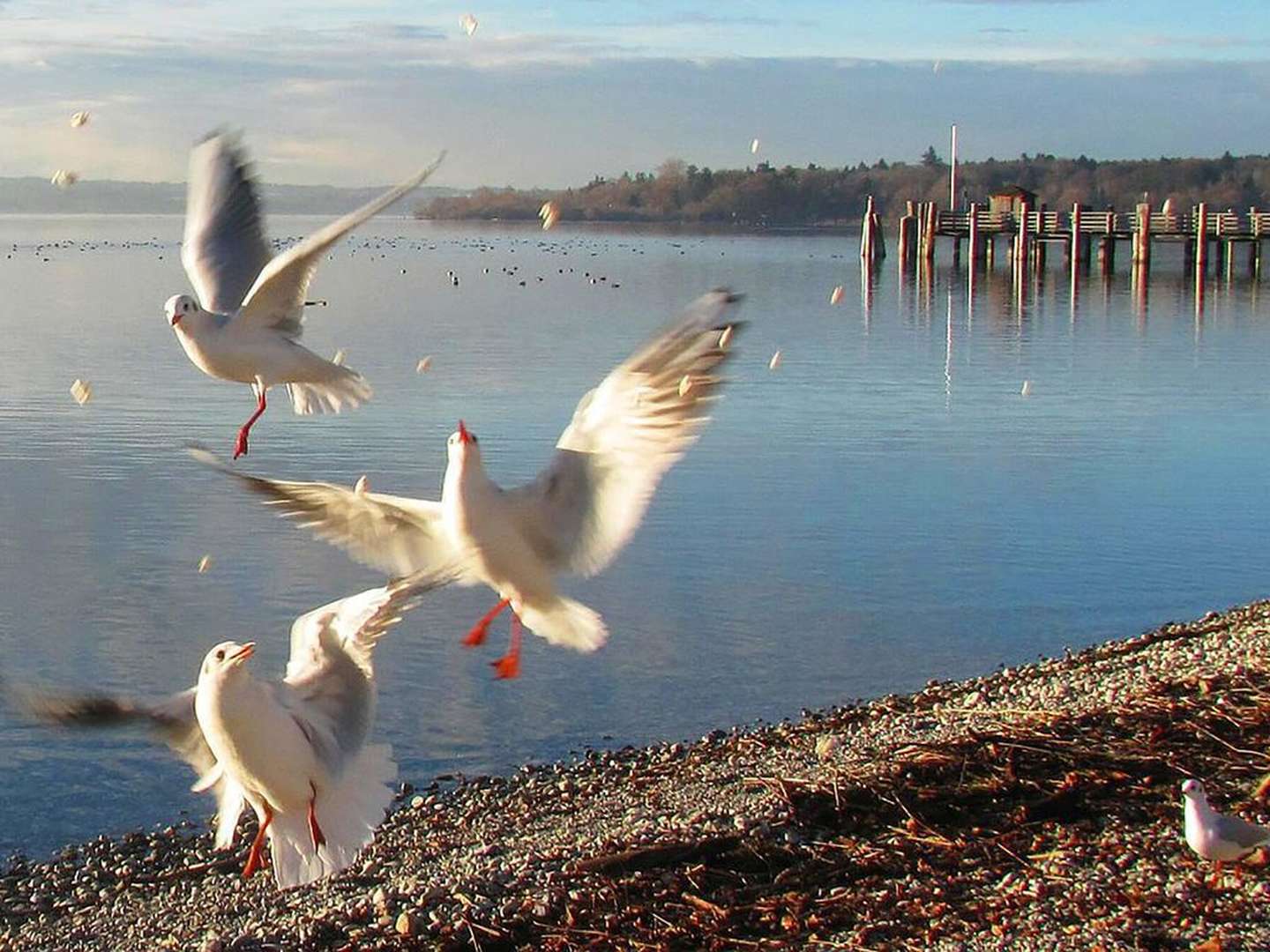 Seehof Silvester am Ammersee