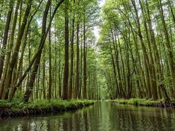 Erholung pur im Biosphärenreservat Spreewald inkl. 3 h Spreewaldtherme Burg