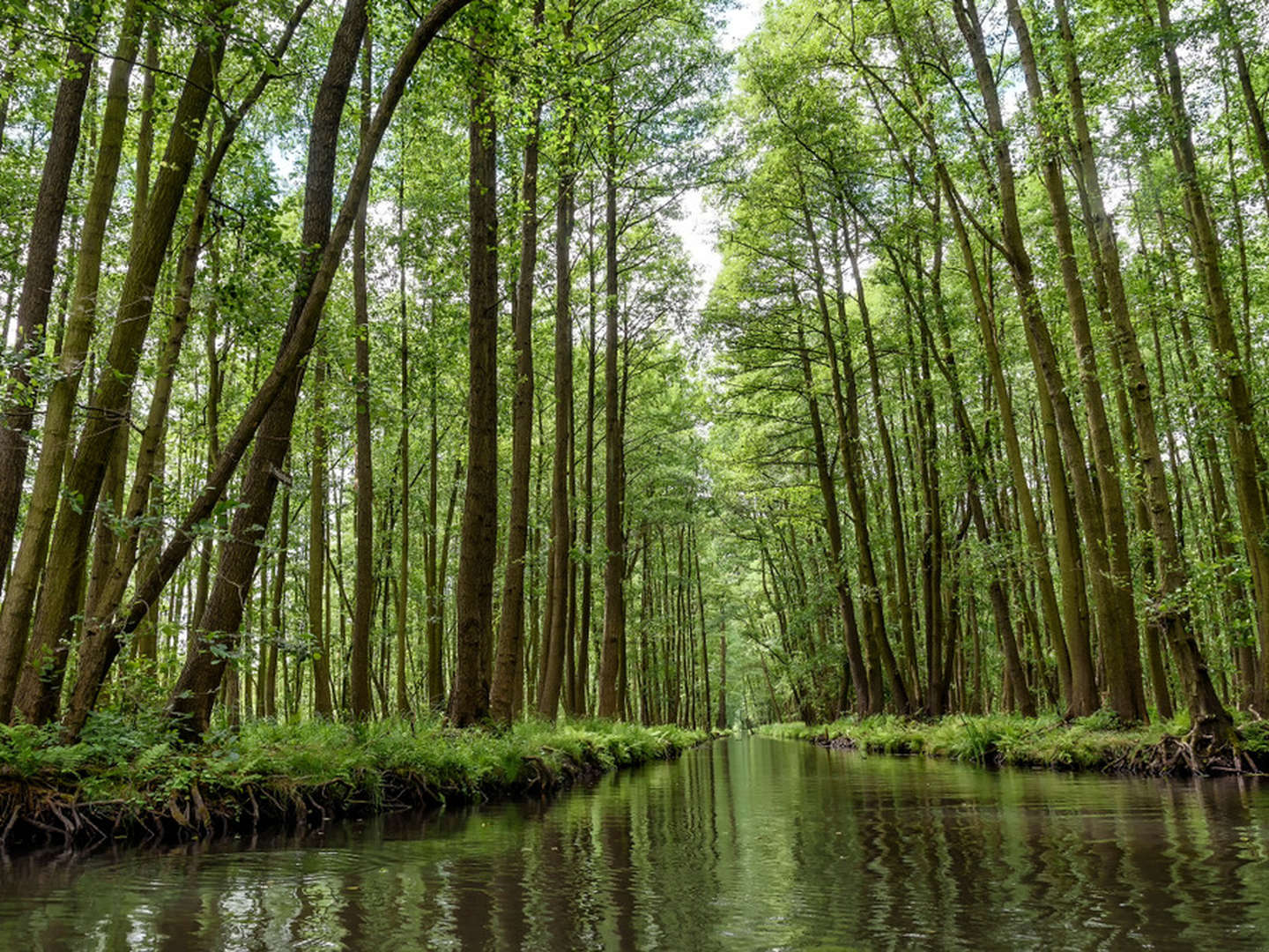 3 Spreewald- Familien-Erlebnistage inkl. Pücklerticket- Kinder bis 5 Jahre reisen gratis!