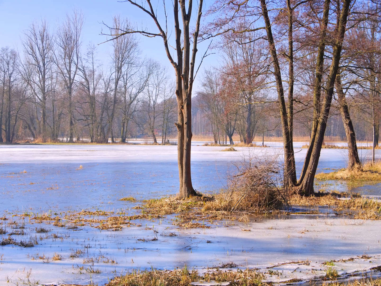  6 Winterzaubertage in Spreewald & Lausitz inkl. Glühweinkahnfahrt & Abendessen