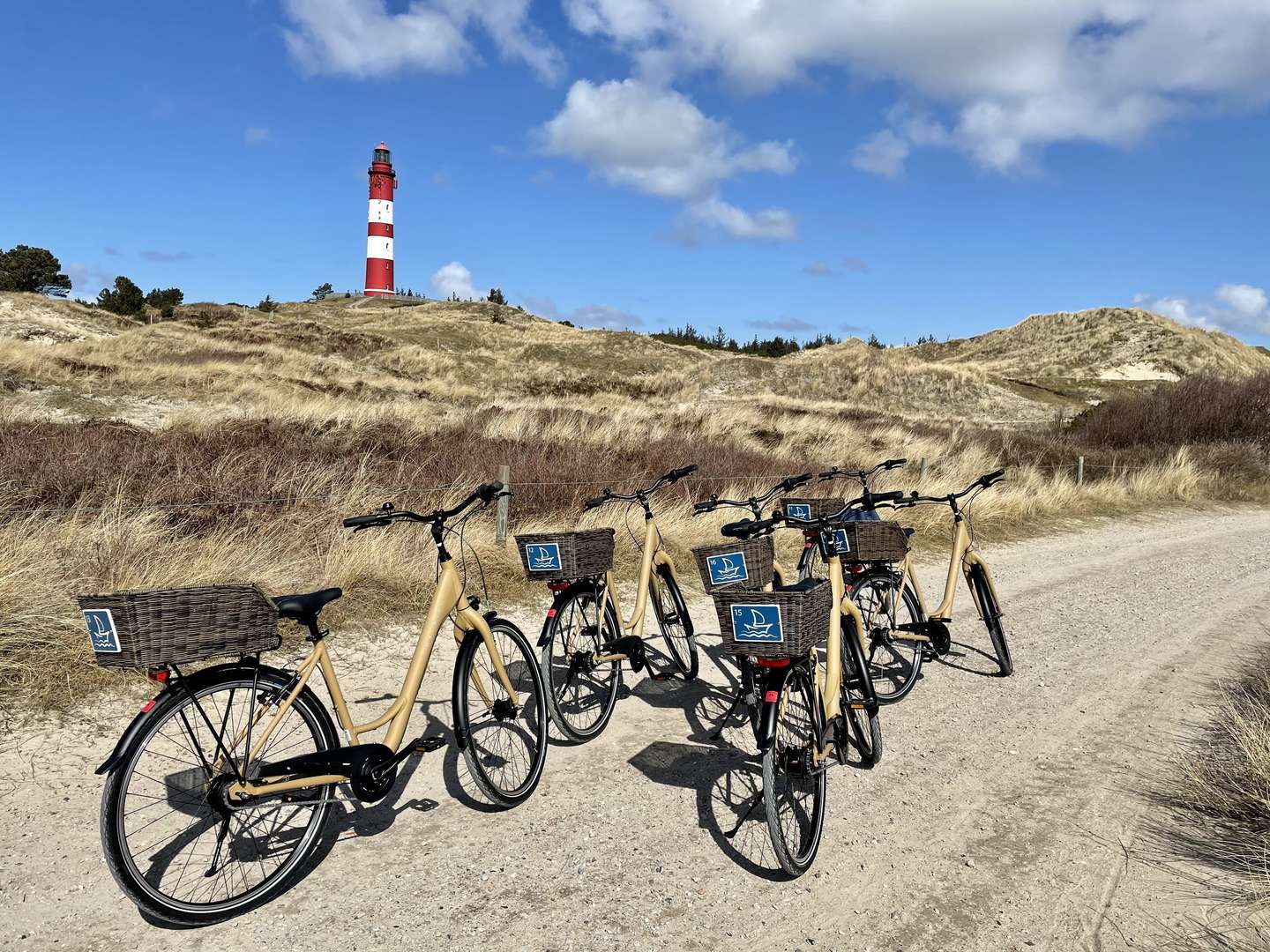 BIIKE Brennen 2025 auf Amrum an der Nordsee  I 2 Nächte 