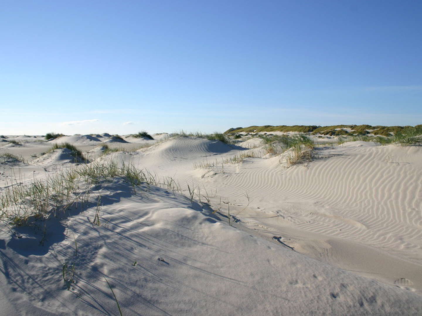 Romantische Zeit auf Amrum an der Nordsee I 7 Nächte