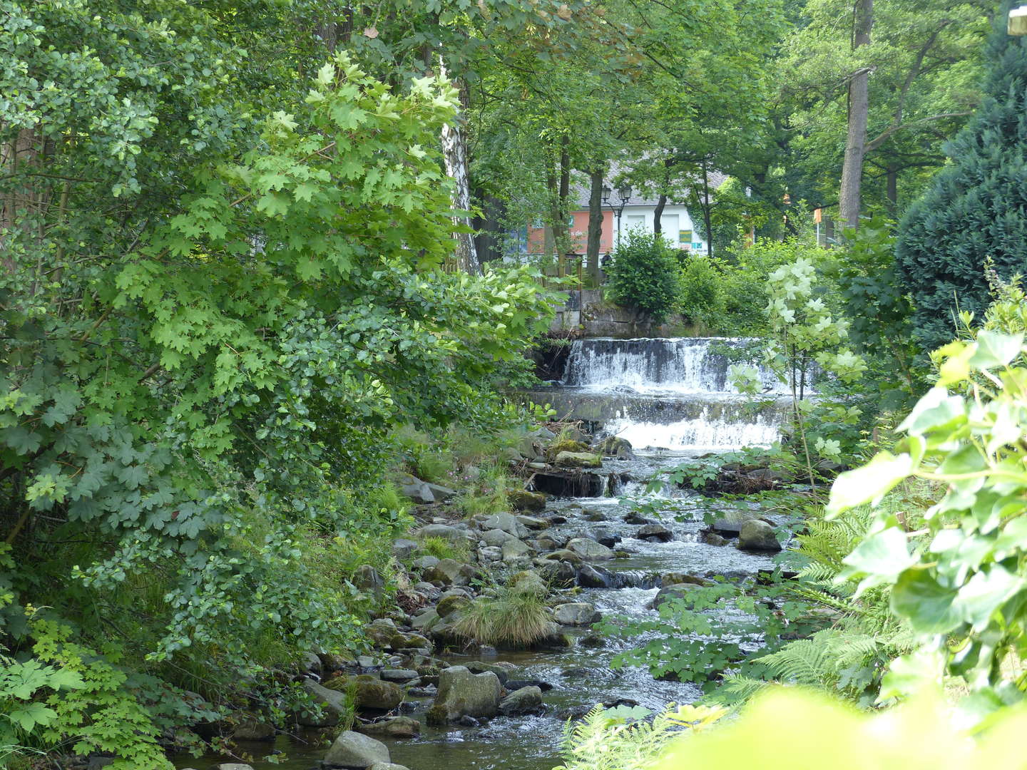 Kurparkromantik in Bad Harzburg inkl. Cleopatrabad und Baumwipfelpfad