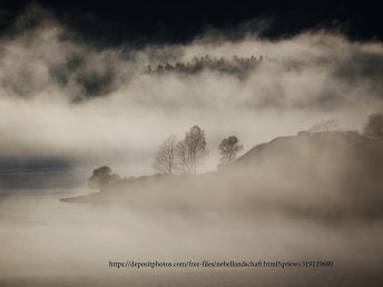 Festliche Silvesternacht im Herzen des Schwarzwalds an der Donauquelle