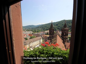 Wanderung mit Sauschwänzlebahn und Donauquelle