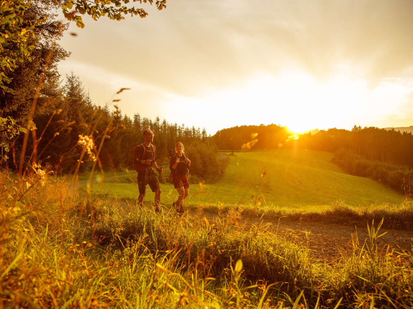 5 Tage Wanderzeit im Sauerland