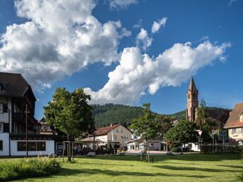 Herbst im Schwarzwald