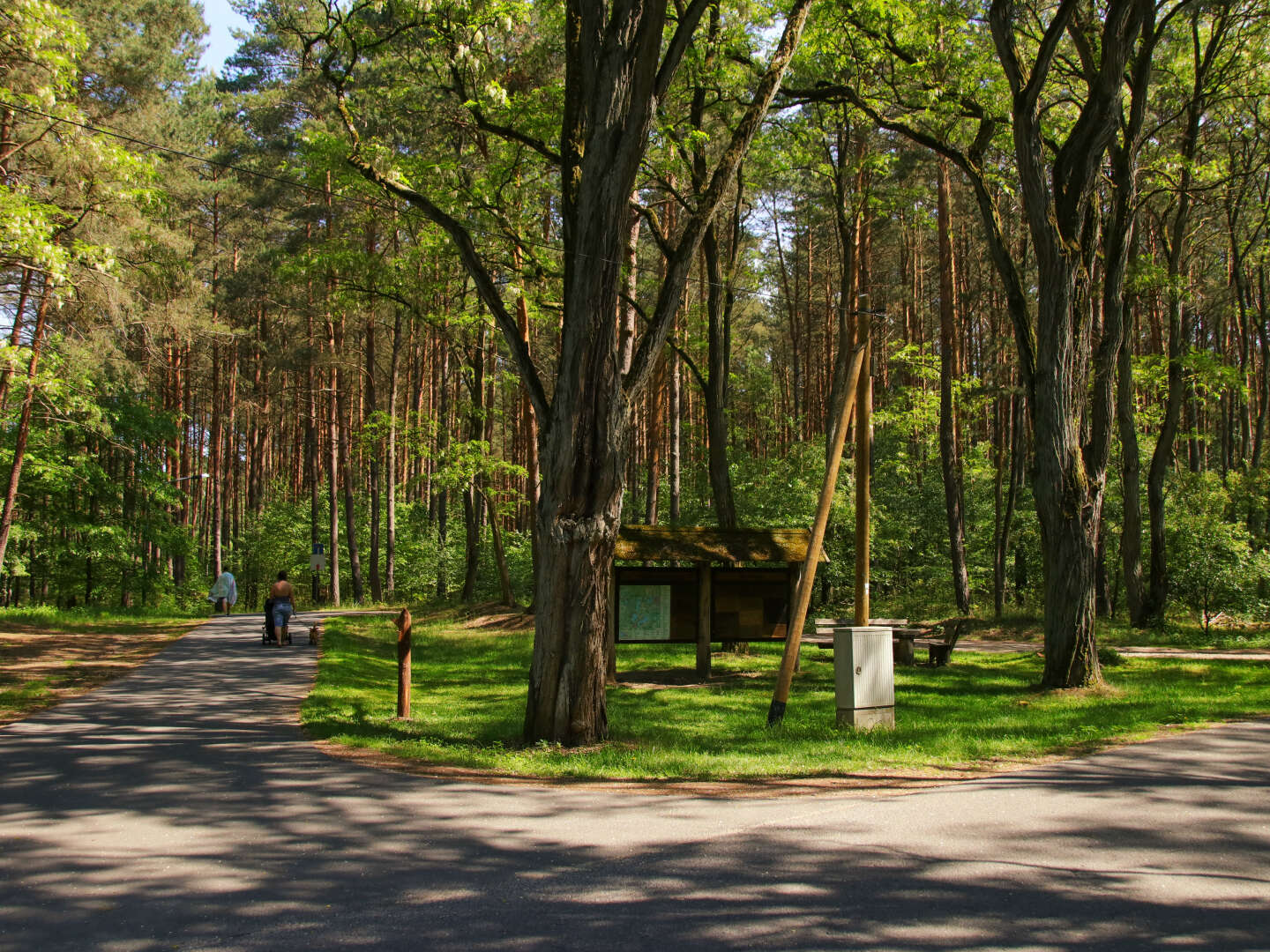 Seenplatte aktiv erkunden inkl. Leihfahrrad