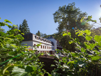 Unterwegs auf dem Maare-Mosel-Radweg inkl. Halbpension