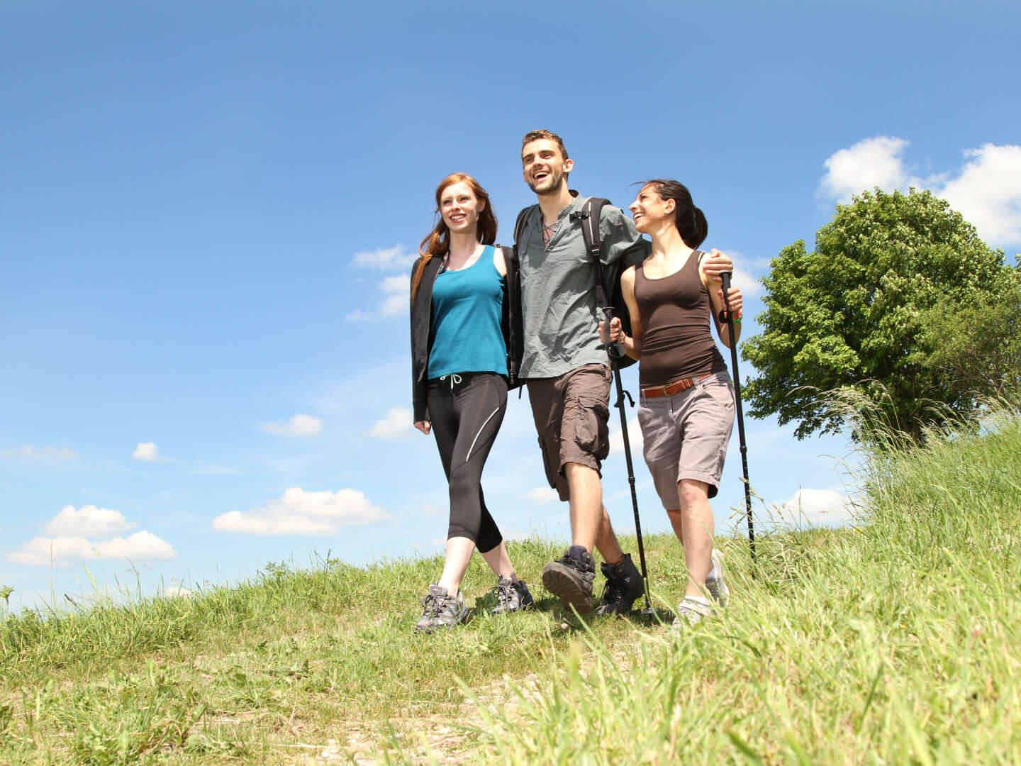 Naturträume - auf in den Wald | 6 Tage wandern rund um Trier  