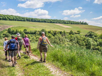 Naturträume - auf in den Wald | 7 Tage wandern rund um Trier