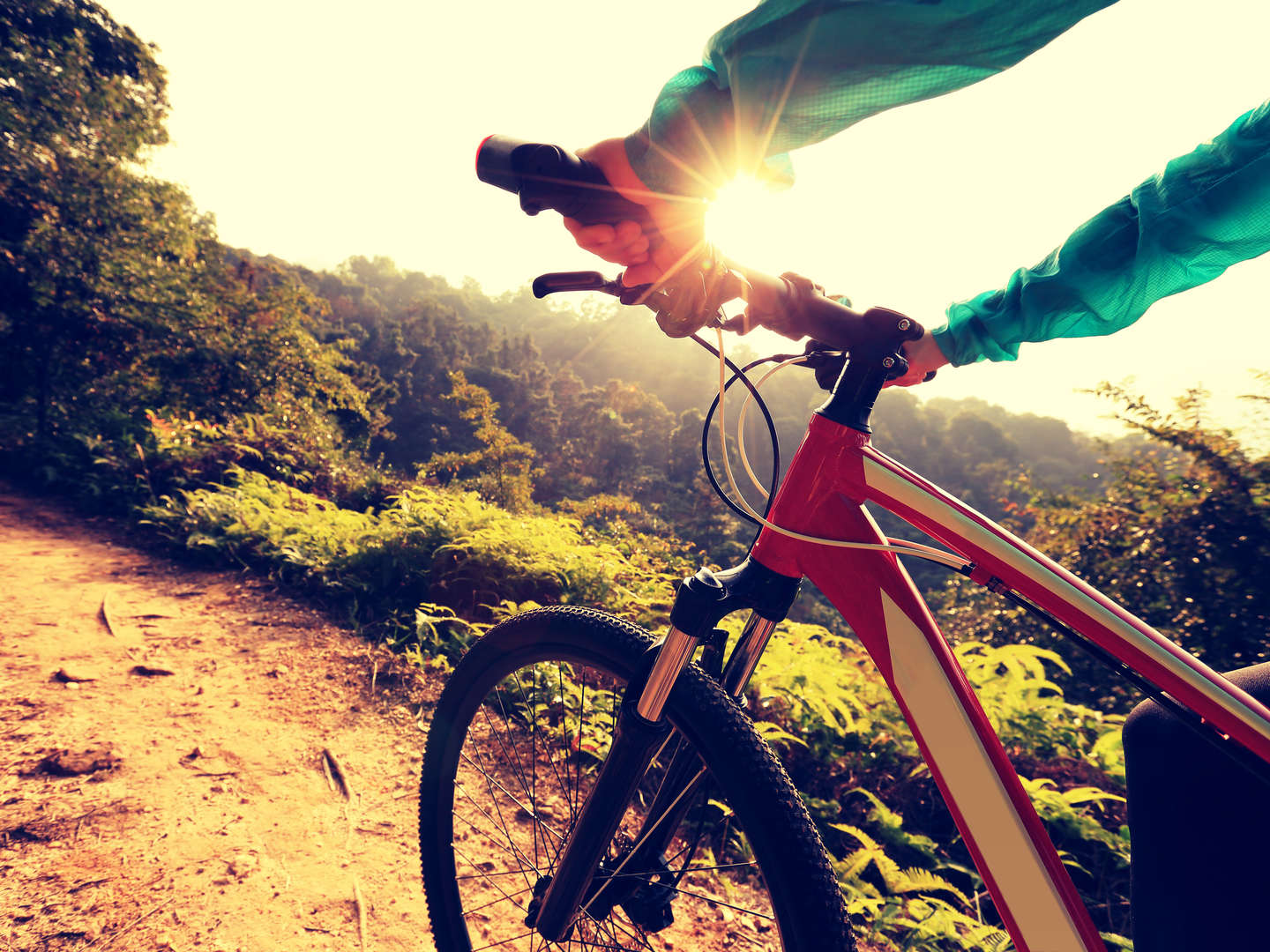 1 Fahrrad und 4 Premiumtouren | 5 Tage an die Mosel inkl. 3-Gang-Menü