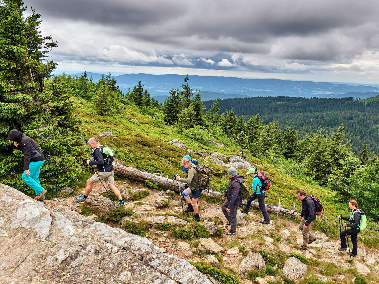 Baumwipfelpfad im Bayerischen Wald erklimmen inkl. Halbpension | 6 Tage