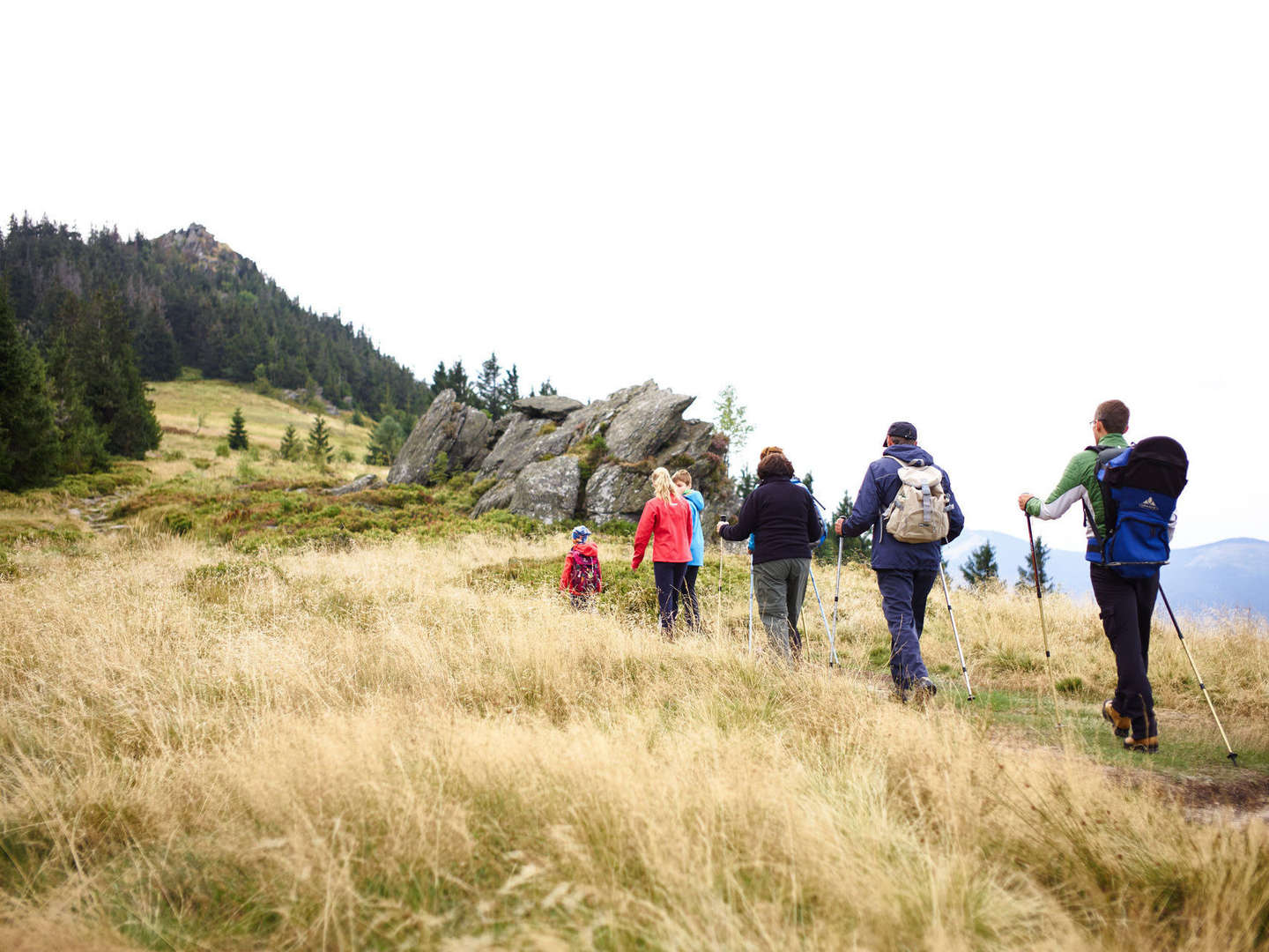 Baumwipfelpfad im Bayerischen Wald erklimmen inkl. Halbpension | 6 Tage