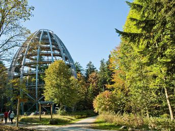 Baumwipfelpfad im Bayerischen Wald erklimmen inkl. Halbpension | 6 Tage