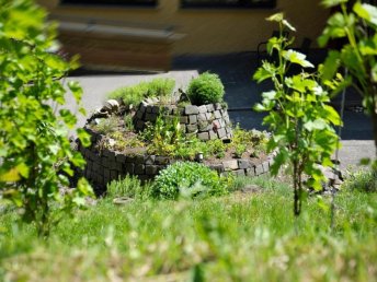 Wanderzeit im Pfälzer Bergland - 4 Nächte