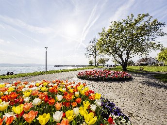 Silvester am Bodensee