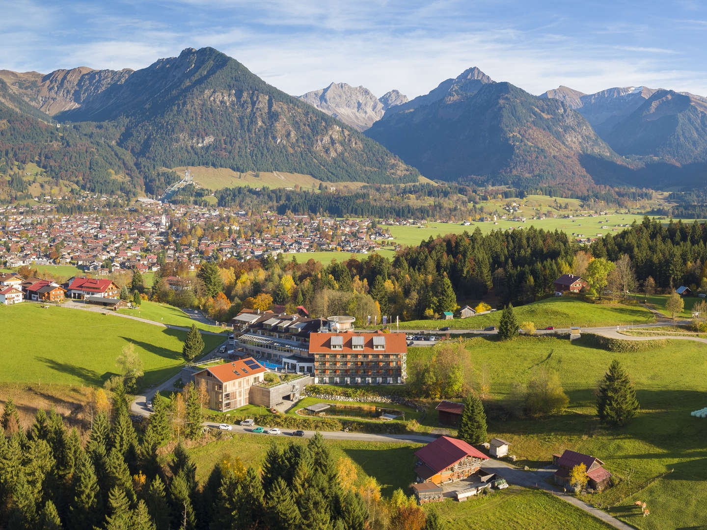 Allgäuer Bergwiesentraum