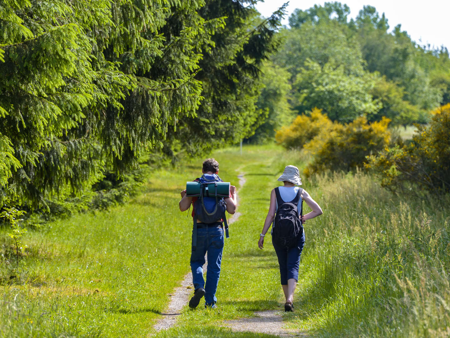 Wandern auf dem Klingenthaler Höhensteig