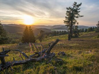 5 Tage Kurzurlaub im Sauerland inkl. Kabinenbahn 