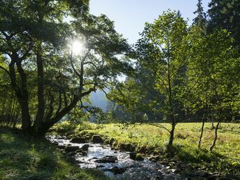 5 Tage Kurzurlaub im Sauerland inkl. Kabinenbahn 