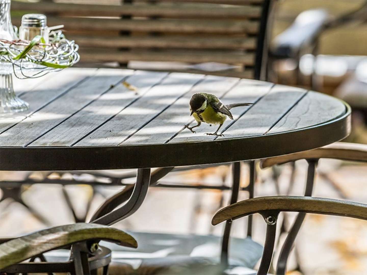 Für Ruhesuchende: Entspannen im Waldhotel Bad Sulzburg