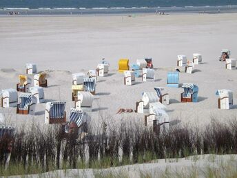 Nur zum mal raus ... 5 Nordsee- Erlebnistage... auf der autofreien Insel Juist  