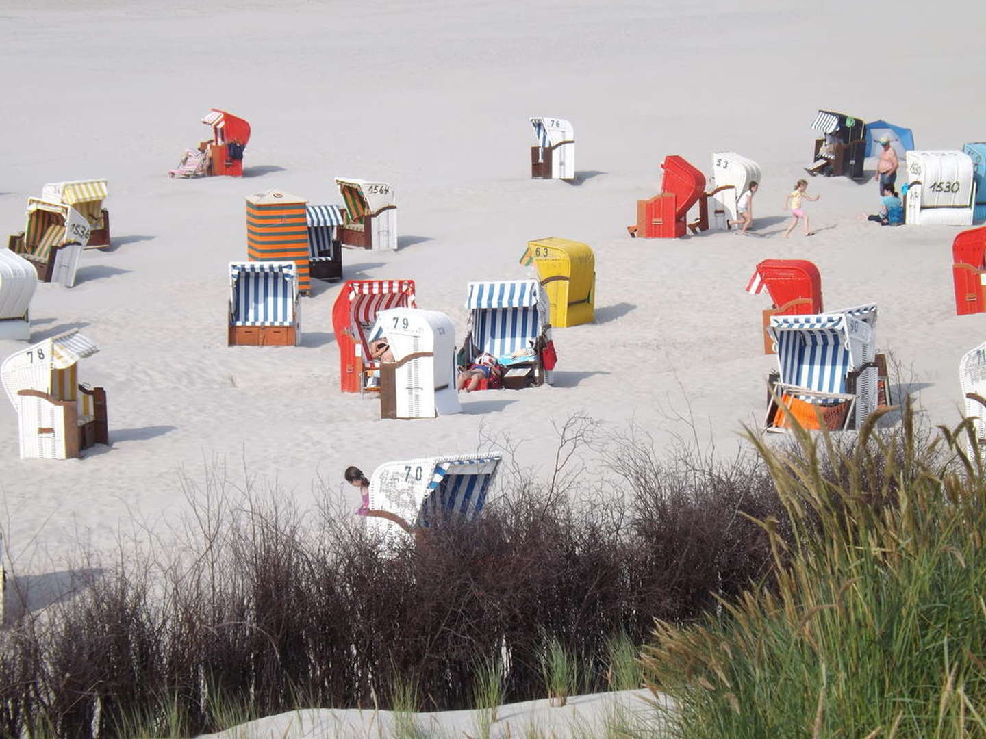 Nur zum mal raus ... 7 Nordsee- Erlebnistage... auf der autofreien Insel Juist 