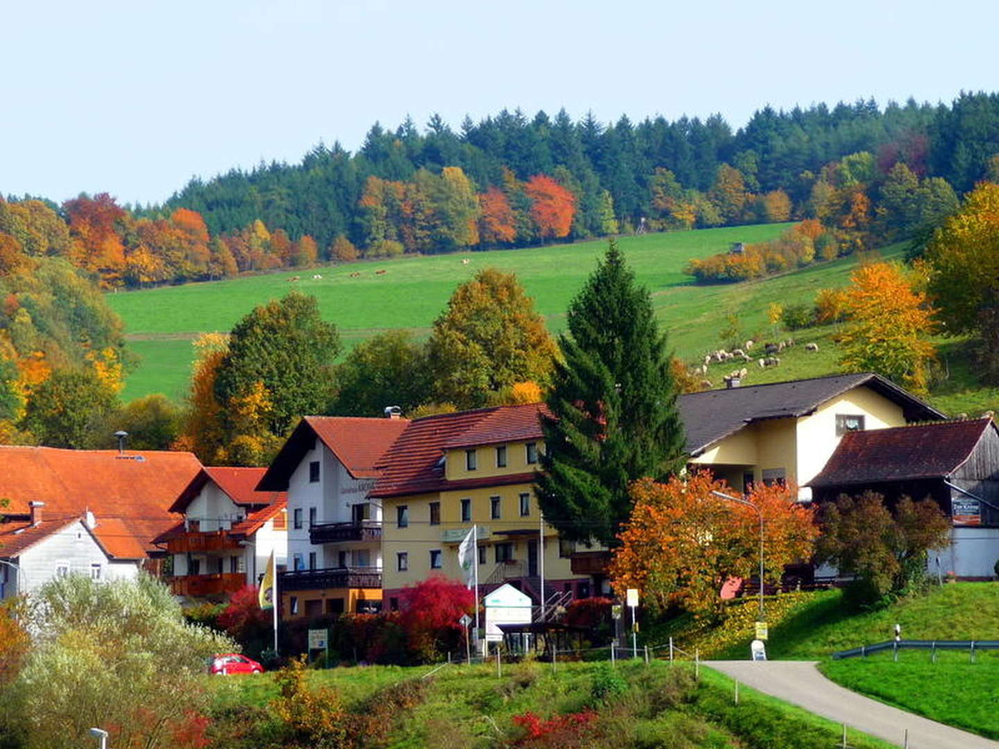 Eine Woche 7 Übernachtungen im Sagenhafter Odenwald  - Nähe Michelstadt und Heidelberg 