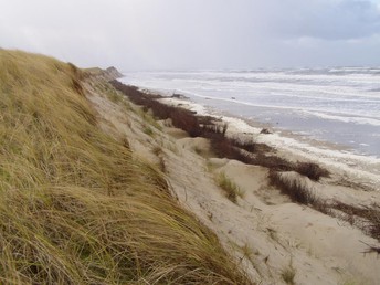 Darf´s ein bisschen mehr sein? 3 Tage auf Langeoog inkl. Halbpension