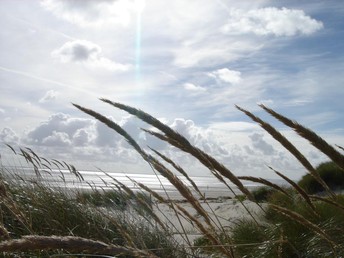 Darf´s ein bisschen mehr sein? 3 Tage auf Langeoog inkl. Halbpension