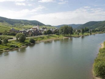 SILVESTER AN DER MOSEL