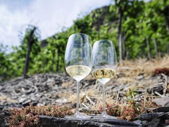 MOSEL AKTIV - RADFAHREN & WANDERN