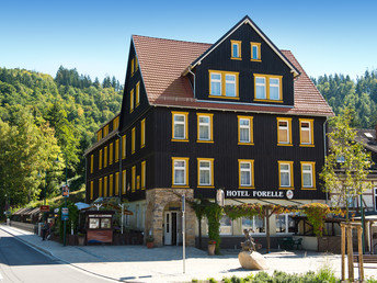 6 Tage Kurzurlaub im Harz 