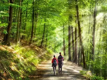 6 Tage den Harz erleben! inkl. Halbpension 