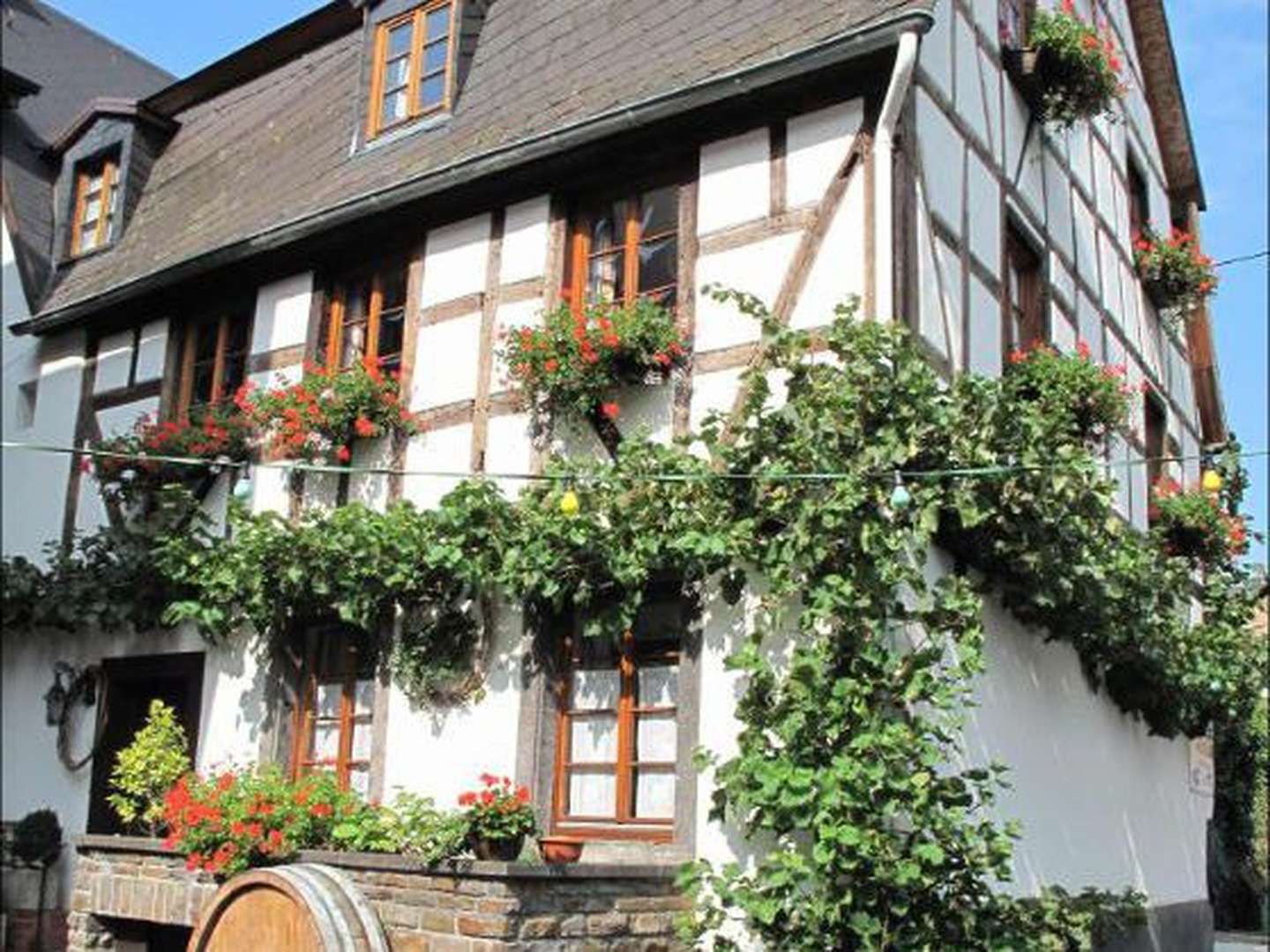 Mosel Romantik in den Weinbergen inkl. Moselüberfahrt