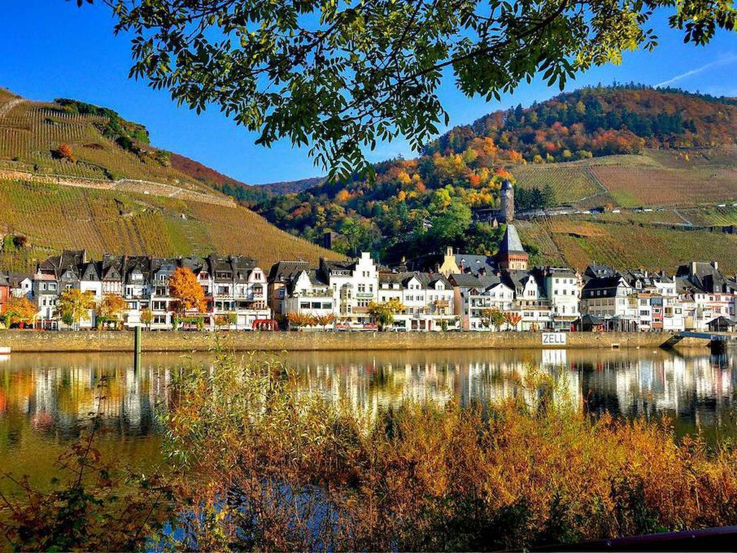 Mosel Romantik in den Weinbergen inkl. Moselüberfahrt