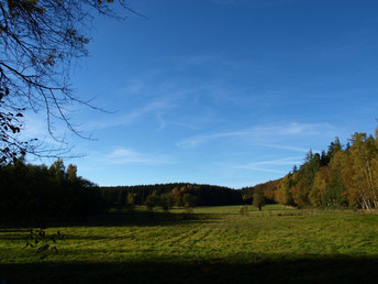 Winterliche Entdeckerreise - 4 Tage im Harz 