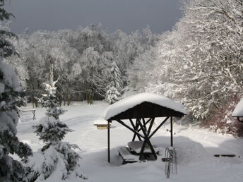 Winterliche Entdeckerreise im Harz 2 Tage 