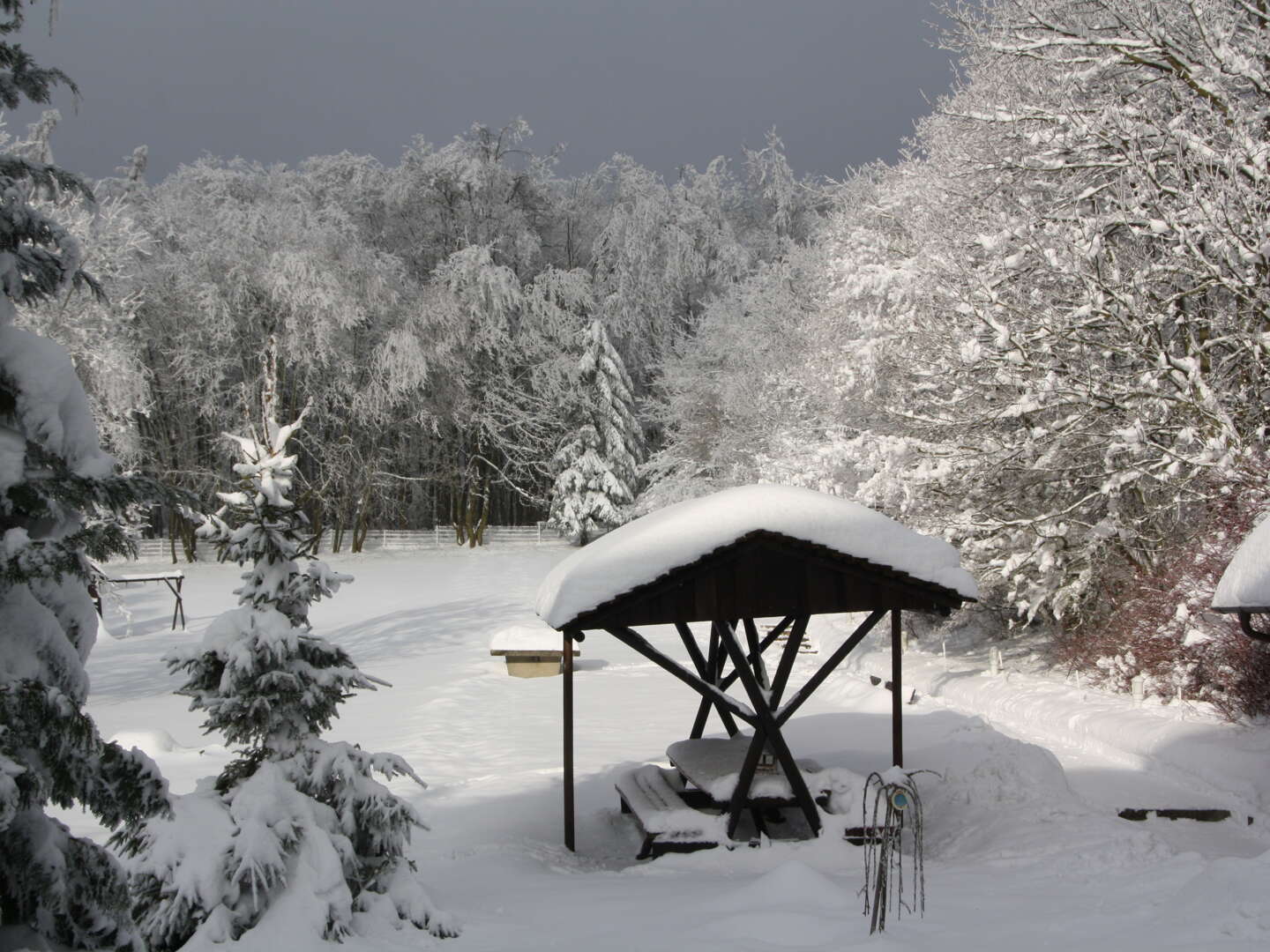 Genussvolle Ostertage im wunderschönen Harz inkl. Halbpension