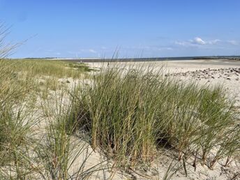 3 Tage Meer- Entspannung auf der Ostfriesischen Insel Borkum