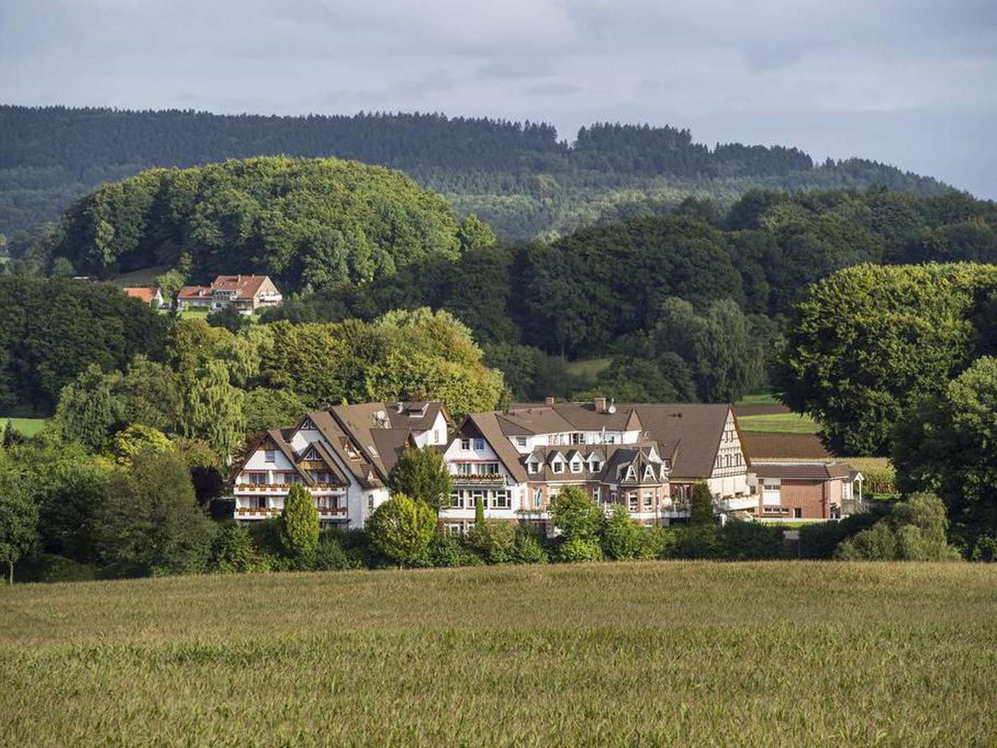 Schlemmen & Schlummern im Ringhotel Landhotel Buller am Teutoburger Wald | 1 Nacht