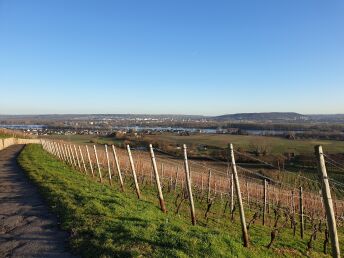 Zum Weihnachtsmarkt der Nationen in Rüdesheim am Rhein