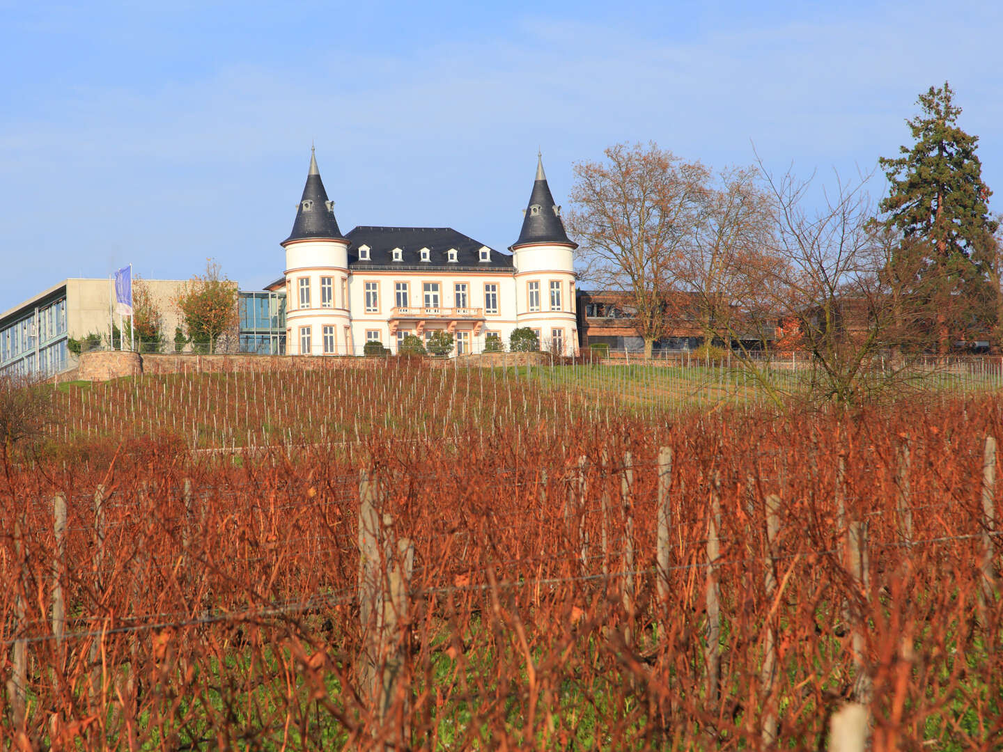 URLAUB! 1 Woche am Rheinsteig inkl. Wein