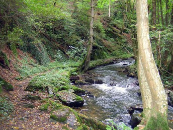 7 Tage Landromantik / Urlaub in Rheinland-Pfalz inkl. Halbpension