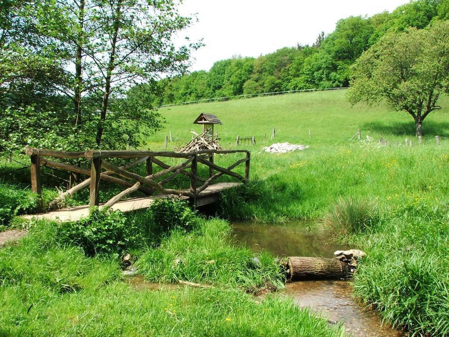 5 Tage Landromantik / Urlaub in Rheinland-Pfalz inkl. Halbpension