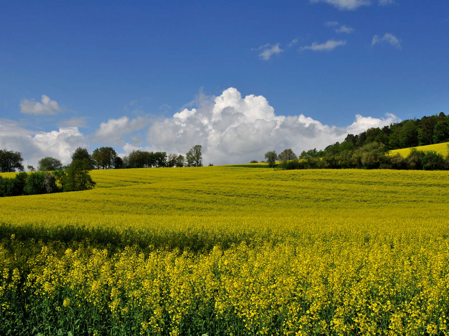 3 Tage Wandern, Radeln oder Biken im Rotkäppchenland in Hessen inkl. Halbpension