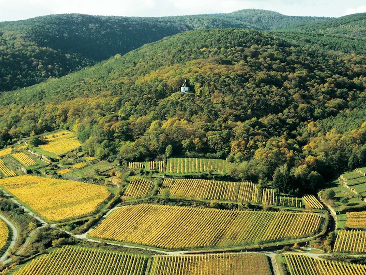 Deidesheimer Hof - Verwöhntage in der Pfalz