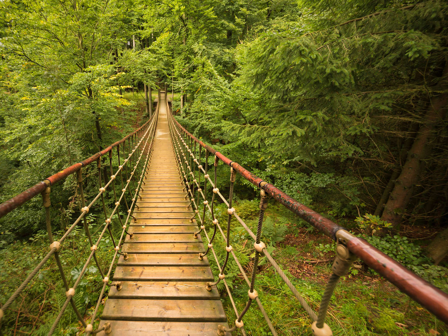 3 Tage im Sauerland - Bischofs Mini Urlaub inkl. 5-Gang-Feinschmeckermenü